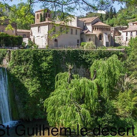 Charmante Cave Voutee 4 Personnes Saint-Jean-de-Fos エクステリア 写真