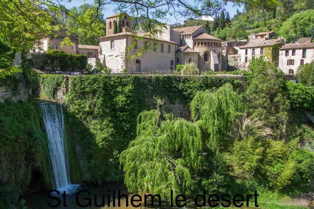 Charmante Cave Voutee 4 Personnes Saint-Jean-de-Fos エクステリア 写真