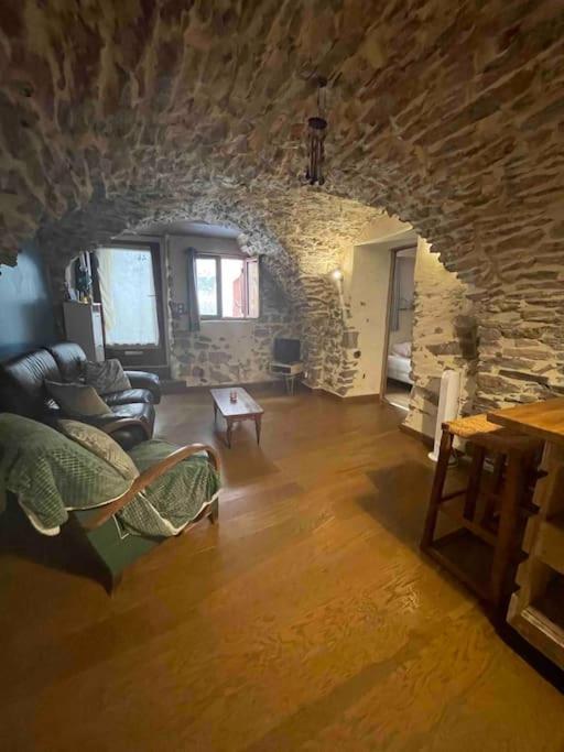 Charmante Cave Voutee 4 Personnes Saint-Jean-de-Fos エクステリア 写真
